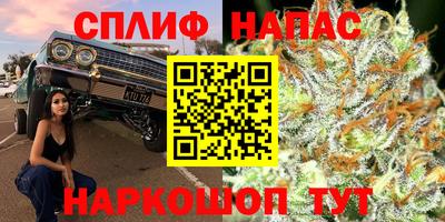 индика Волжский