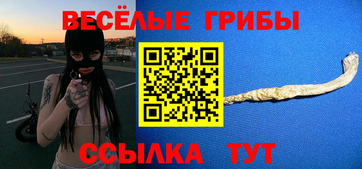 Псилоцибиновые грибы мицелий Заринск